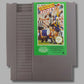 Aussie Rules Footy NES Game PAL